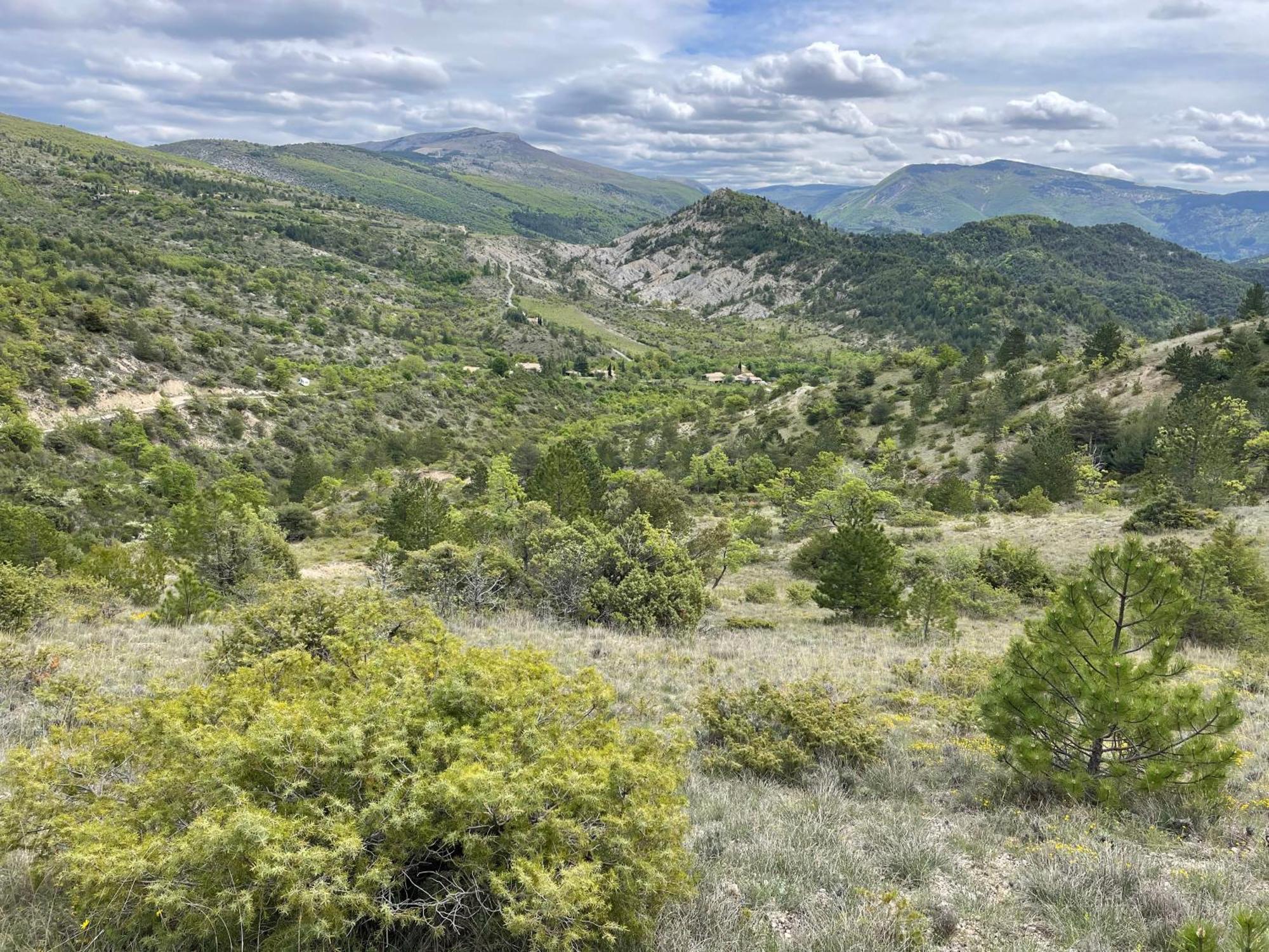 La Maison De Vergol Montbrun-les-Bains Buitenkant foto